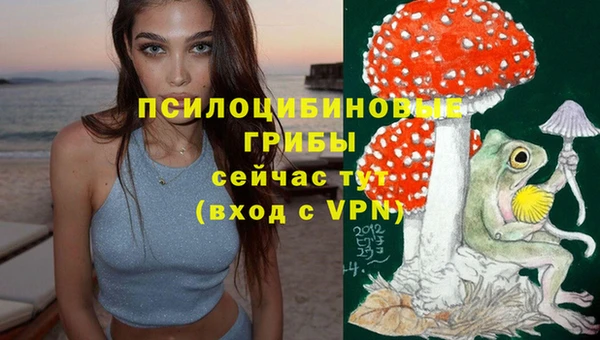 герыч Арсеньев