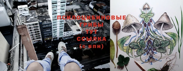 бутират Аркадак